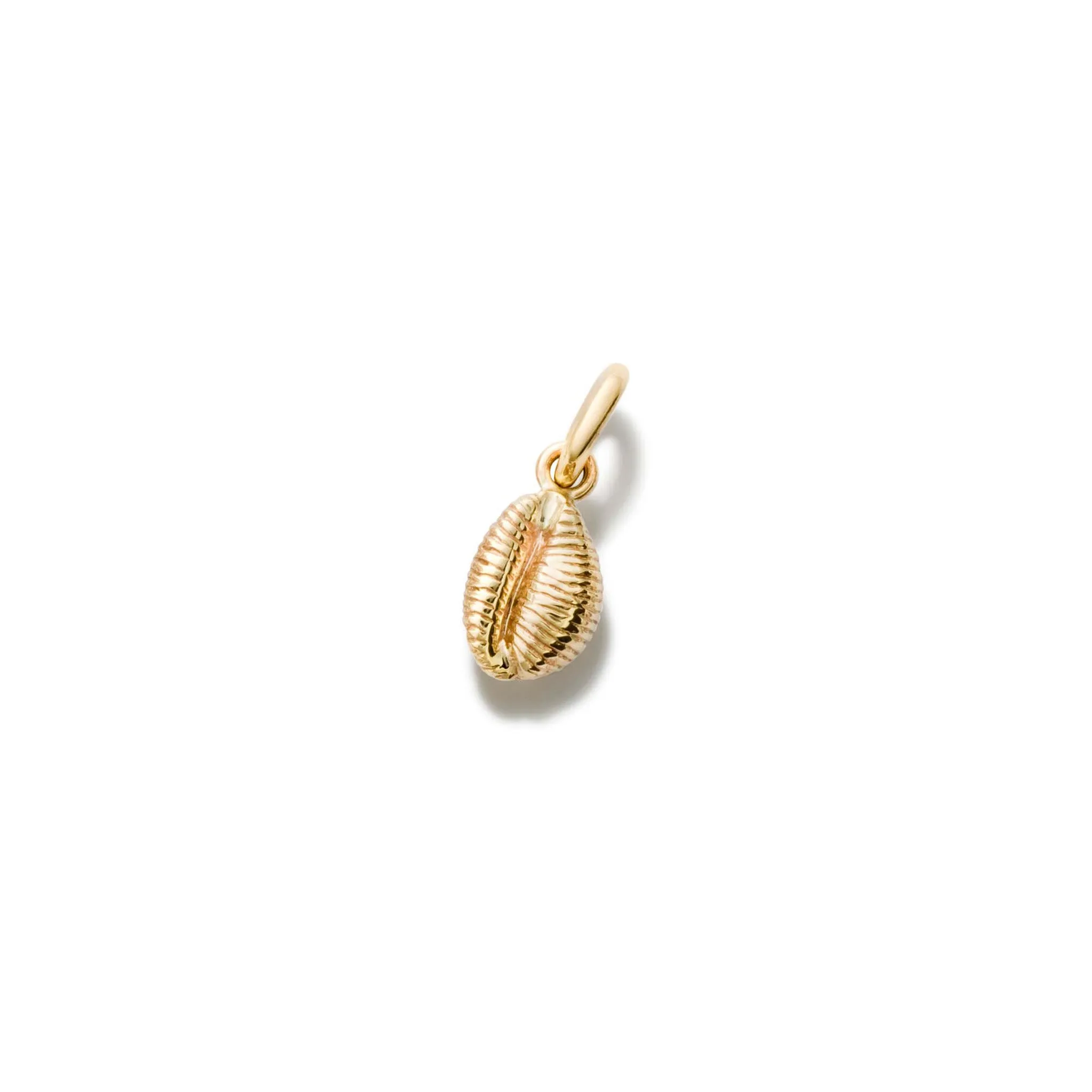 Cowrie Shell Necklace Pendant Yellow Gold